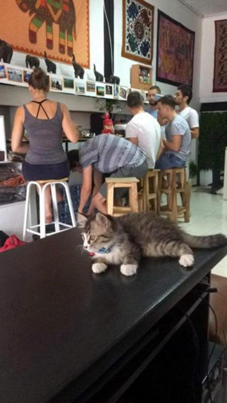 My Bed & Breakfast Τσιανγκ Ράϊ Εξωτερικό φωτογραφία